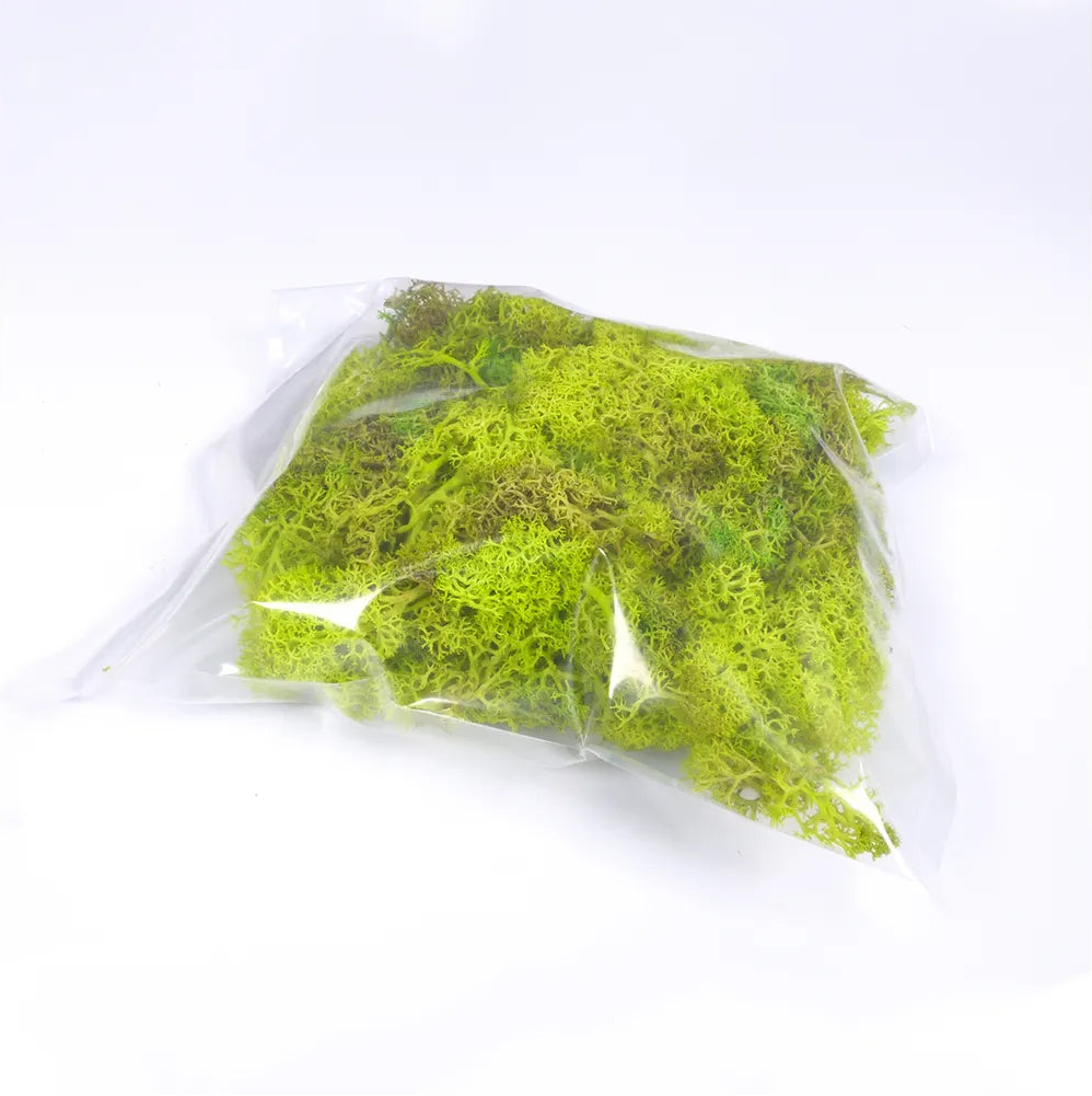 Natural Scenics Light Green Lichen For Model Railway Scenery