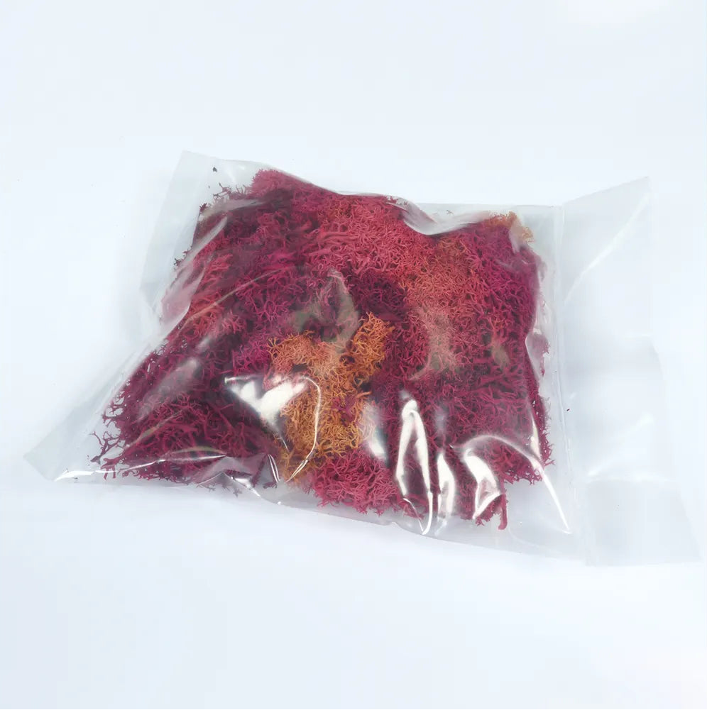 Natural Scenics Red Lichen For Model Railway Scenery