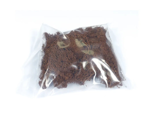 Natural Scenics Brown Lichen For Model Railway Scenery