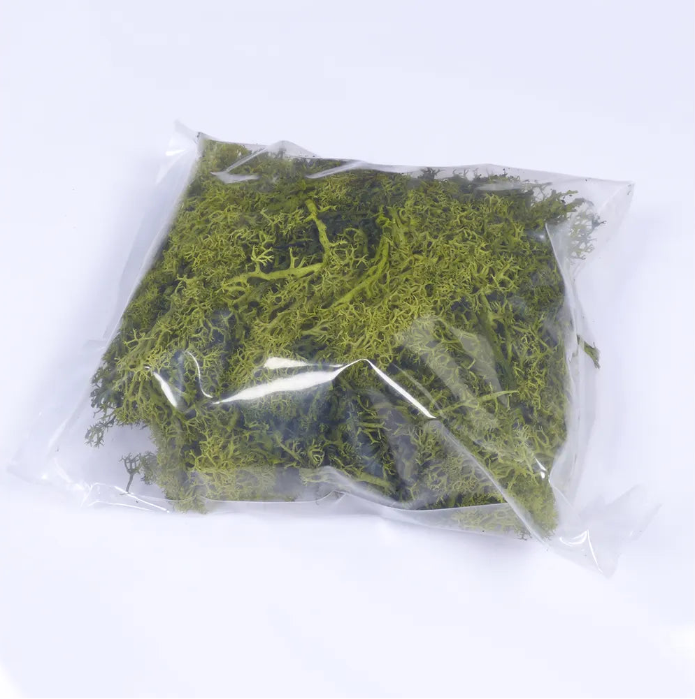 Natural Scenics Large Summer Scenery Bundle For Model Railways - Medium Green Lichen Large 2
