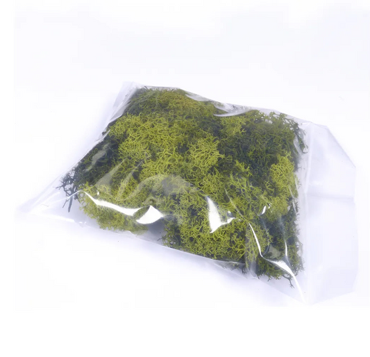 Natural Scenics Medium Green Lichen For Model Railway Scenery