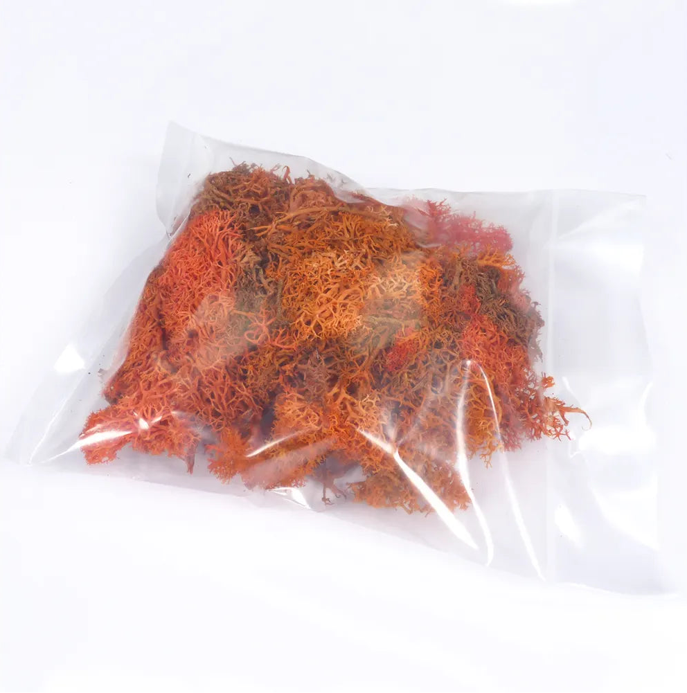 Natural Scenics Orange Lichen For Model Railway Scenery