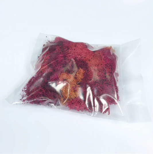 Natural Scenics Red Lichen For Model Railway Scenery